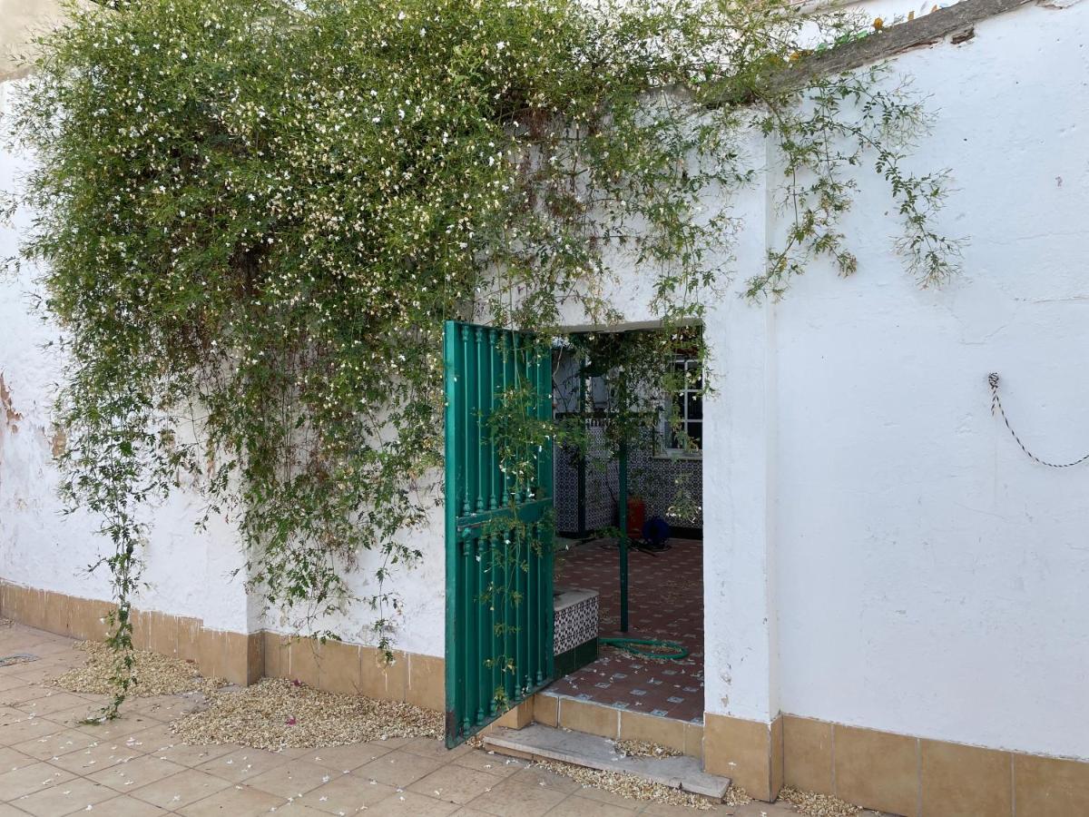 فيلا Patios De La Carmela إيسلا كريستينا المظهر الخارجي الصورة